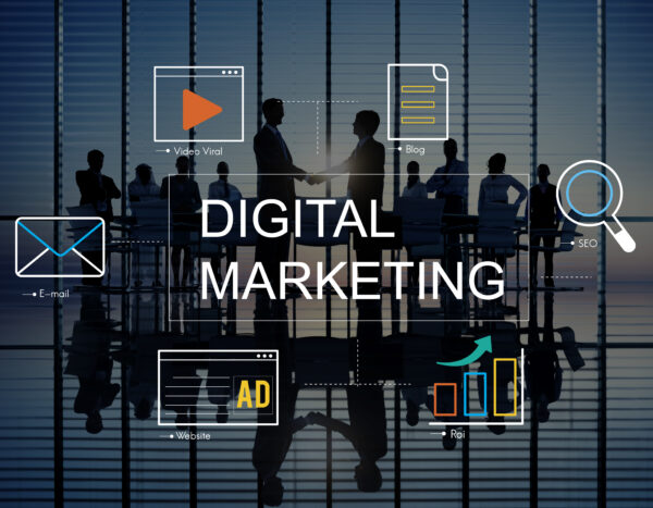 Professional Digital Marketing Package